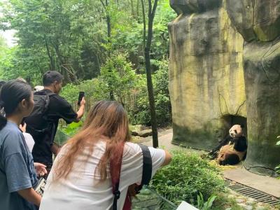 Dujiangyan Panda Valley