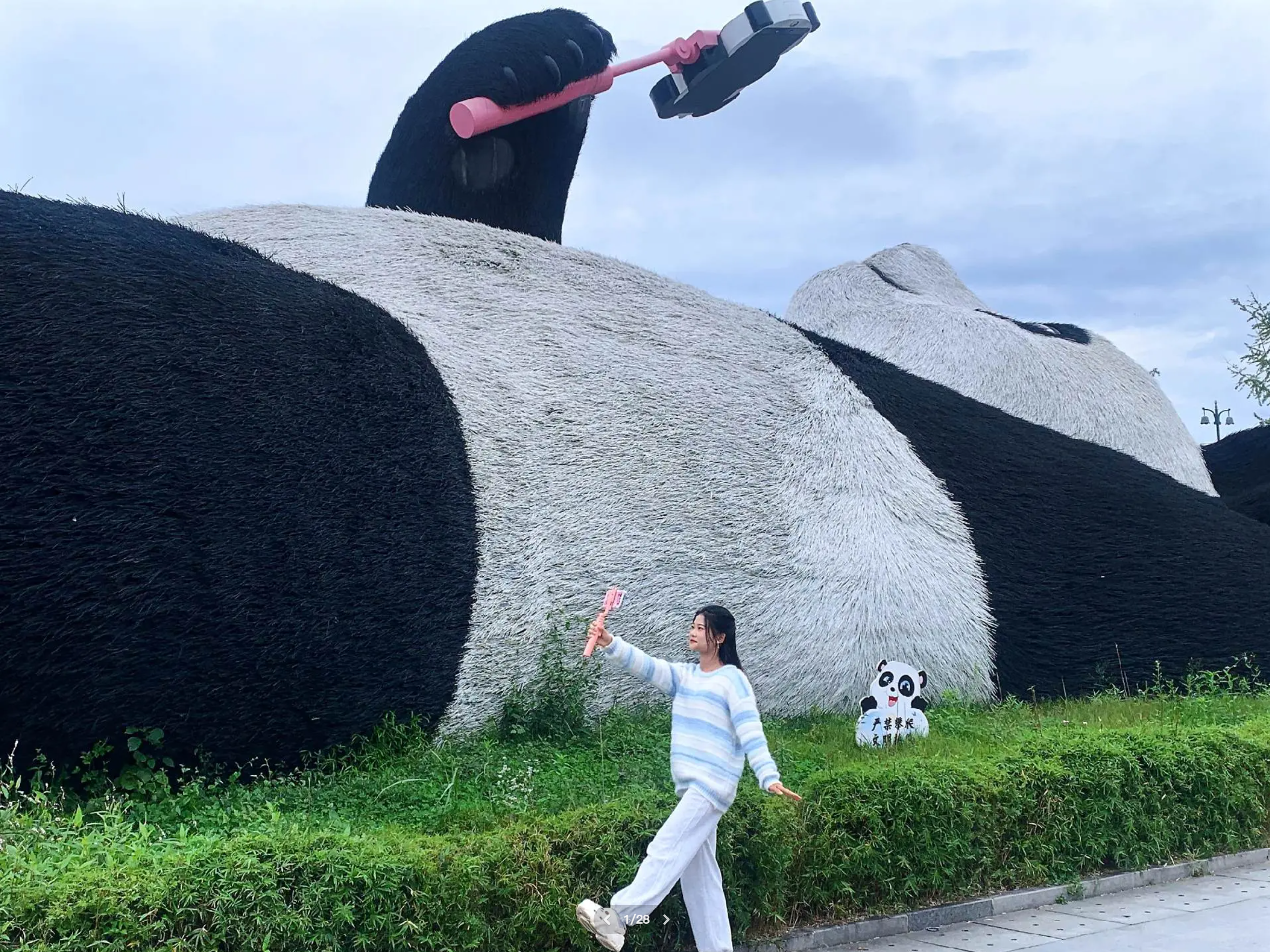 Selfie Panda - Guanxian Ancient City, Dujiangyan