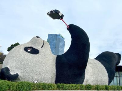 The Lying Selfie Panda – Top Photo Spot in Dujiangyan