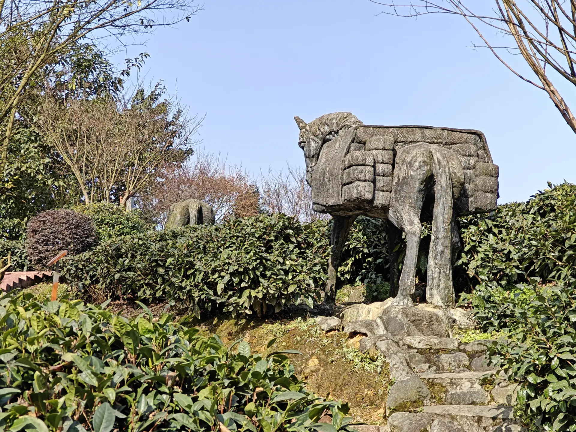 Niunianping Ecological Tea Plantation 