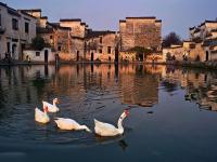 Huangshan Hongcun Village 