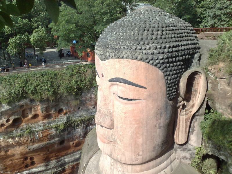 1-day Chengdu Panda and Leshan Giant Buddha Tour 