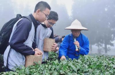 Mengding Mountain