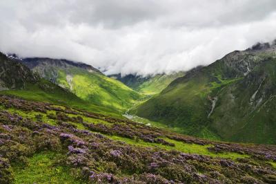 Haizi Valley in Mt. Siguniang