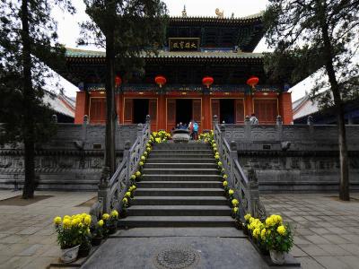 Shaolin Temple 