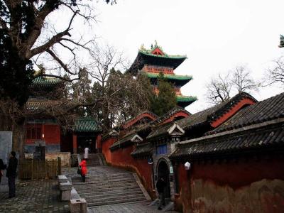 Shaolin Temple 
