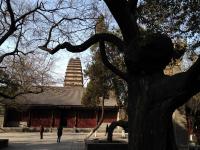 Xi'an Small Wild Goose Pagoda