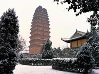 Xi'an Small Wild Goose Pagoda