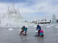 Sun Island International Snow Sculpture Art Expo Harbin