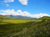 Kangding Tagong Grassland Sichuan