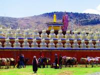 Tagong Grassland Kangding China