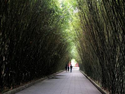 Wangjianglou Park 