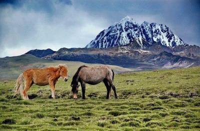 Yala Snow Mountain